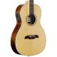 Alvarez AP70-WE Solid Top Parlor Acoustic/Electric Guitar