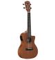 Alvarez RU22CCE Concert Uke Mah Matte w/electrics & cu