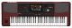 Korg PA1000 61 Note Professional Arranger Keyboard