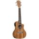 Tanglewood TWT16-E Concert Ukulele with Electronics & Ba