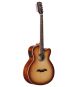 Alvarez Solid Top 8 string Baritone with Electronics