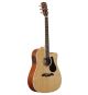 Alvarez AD60CE Dreadnought Acoustic Guitar with Electronics