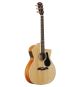 Alvarez AG60CE Grand Auditorium Acoustic Guitar