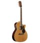 Alvarez Artist Series AG75WCE Acoustic with EQ