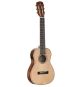 Alvarez AU70W-BE6 6-string baritone Ukulele with EQ