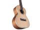 Alvarez AU70W-T Solid Spruce Top Tenor Ukulele