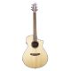 Breedlove ECO Discovery S Concert CE Acoustic Guitar