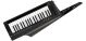 Korg RK-100s 2 Keytar in Translucent Black