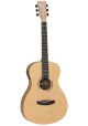 Tanglewood DBT-PE-HR Discovery Parlour Guitar