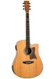 Tanglewood TRD Reunion Dreadnought Acoustic Guitar with EQ