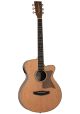 Tanglewood Reunion Super Folk Acoustic Guitar with Ele