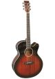 Tanglewood Winterleaf Super Jumbo with cutaway and EQ