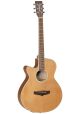 Tanglewood TW9 Winterleaf SFCE Left Hand Acoustic Guitar