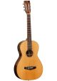 Tanglewood TW-JPE Java series Parlour Guitar