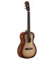 Alvarez Delta DeLite E Acoustic Guitar with Bag - Shadowburst