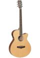 Tanglewood TW9 Winterleaf SFCE Acoustic Guitar